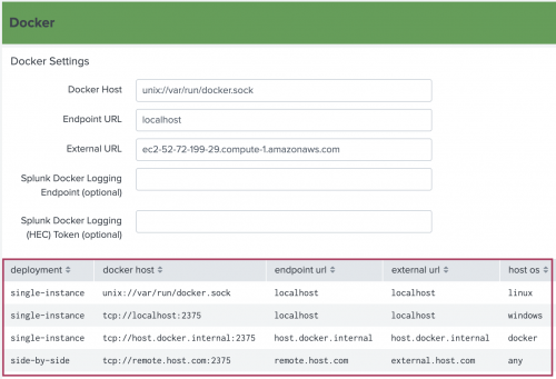 This image shows the Docker Settings inputs area on the Setup page. The examples of what values to use in the available fields is highlighted.