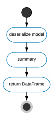 This image shows a running process diagram for the summary command.